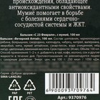 Бальзам с мумиё «С 23 февраля»: шиповник, черноплодная рябина, боярышник, смородина, календула, зверобой, 100 мл. 9370976 - фото 14237641