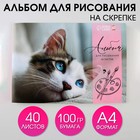 Альбом для рисования на скрепках А4, 40 листов «Котёнок»   (обложка 160 г/м2, бумага 100 г/м2). - фото 894792