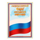 Плакат  "Государственный флаг РФ" , 21,6х30,3 см - фото 319235263
