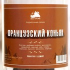 Набор из трав и специй для приготовления настойки "Фрацузский коньяк" с бутылкой 0,5 л - фото 27566331