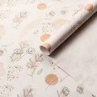 Набор упаковочной бумаги,глянцевая "Изысканность" ,50 × 70 см ,2 листа - Фото 1