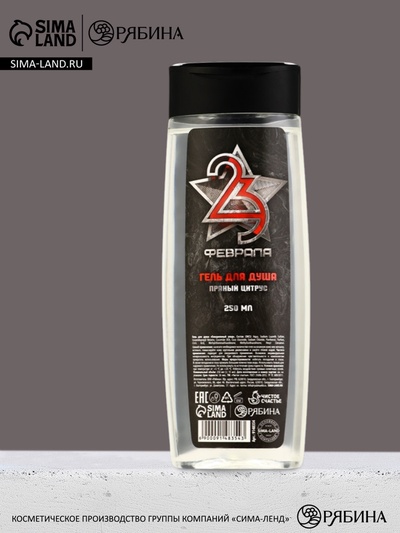 Гель для душа «С 23 Февраля!», 250 мл, аромат пряного цитруса, Чистое счастье