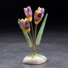 Сувенир "Цветы Крокусы", 5 цветков, селенит - фото 319235707