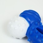 Игрушка двухслойная (твердый и мягкий пластик) "Изогнутая кость", 13 см синяя - Фото 3