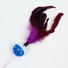 Дразнилка-удочка "Канарейка", 50 см, шар синий/белый, фиолетовые перья - Фото 2