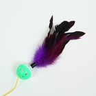 Дразнилка-удочка "Канарейка", 50 см, шар зелёный/белый, фиолетовые перья - Фото 2