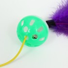 Дразнилка-удочка "Канарейка", 50 см, шар зелёный/белый, фиолетовые перья - фото 6793016