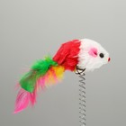 Дразнилка "Мышь на присоске", искусственный мех с цветными перьями,24 см, мышь красная/белая - Фото 2