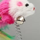 Дразнилка "Мышь на присоске", искусственный мех с цветными перьями,24 см, мышь микс цветов - Фото 4