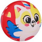 Мяч детский ZABIAKA «Котик», d=22 см, 60 г, цвет красный - Фото 7