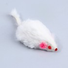 Игрушка для кошек лазер+мышь «‎Моей принцессе»‎ - фото 6793083