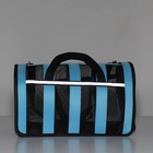 Сумка-переноска сетчатая в полоску, 46*27*27 см, голубая - фото 35744142