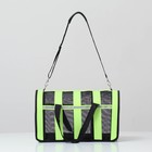 Сумка-переноска сетчатая в полоску, 46*27*27 см, салатовая - фото 35842898