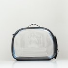 Переноска для животных, 42×32×28 см, прозрачная, голубая - Фото 2