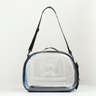 Переноска для животных, 42×32×28 см, прозрачная, голубая - Фото 5