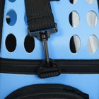 Переноска для животных, 42×32×28 см, прозрачная, голубая - Фото 7