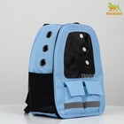 Рюкзак для переноски животных с окном для обзора, голубой - фото 3063614