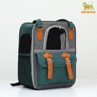 Рюкзак-переноска для животных, 52 х 22 х 41 см, зелёный - фото 3063630