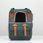 Рюкзак-переноска для животных, 52 х 22 х 41 см, зелёный - фото 9497422