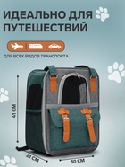 Рюкзак - переноска для животных, 30×21×41 см, зелёный - Фото 2