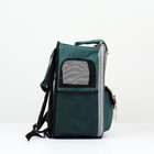 Рюкзак-переноска для животных, 52 х 22 х 41 см, зелёный - Фото 3