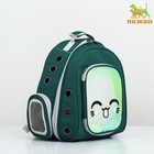 Рюкзак для переноски животных с окном для обзора, зелёный - фото 21854885