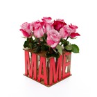 Сборная ваза для цветов с колбами «Подарок маме» - Фото 1