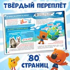Энциклопедия в твёрдом переплёте «Всё обо всём», 80 стр., Ми-ми-мишки - Фото 3