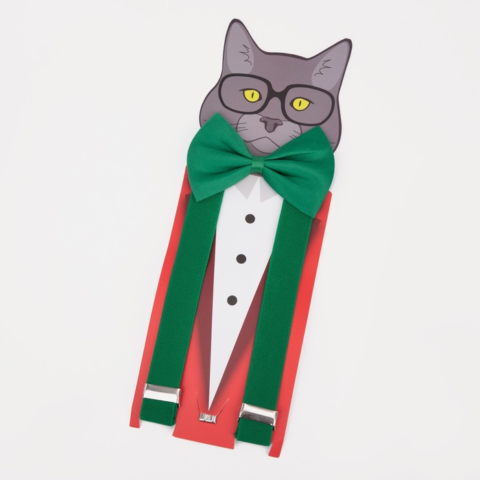 Подтяжки детские «Выбражулька», ширина 2.5 см, бабочка, цвет зелёный - Фото 1