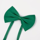 Подтяжки детские «Выбражулька», ширина 2.5 см, бабочка, цвет зелёный - Фото 4