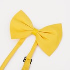 Подтяжки детские «Выбражулька», ширина 2.5 см, бабочка, жёлтая - Фото 4