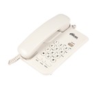 Проводной телефон Ritmix RT-311, повтор, отключение микрофона, индикация, белый - фото 319238912
