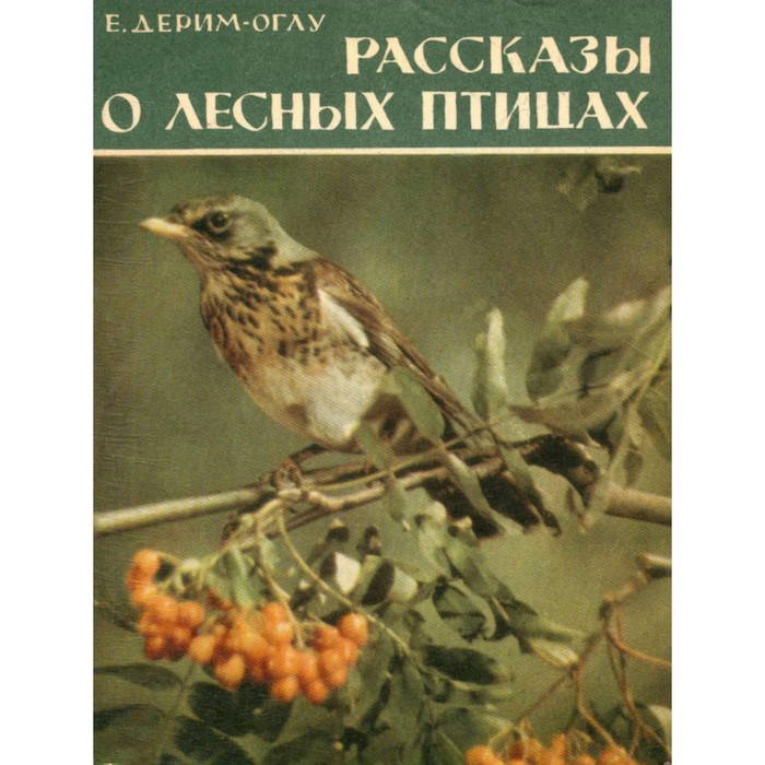 Книга птицы леса