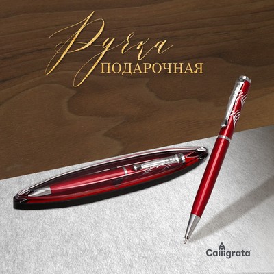 Ручка подарочная, шариковая, в пластиковом футляре, поворотная, «Франсуаза», бордово-серебристая