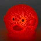 Ёжка «Зверек» световая, цвета МИКС (комплект 12 шт) - фото 21989256