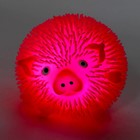 Ёжка «Свинка» световая, цвета МИКС (комплект 12 шт) - фото 33487318