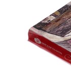 Пастель сухая художественная «Сонет», 12 цветов - Фото 2