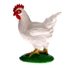 Обучающий набор «Этапы развития куриц» 4 фигурки - Фото 8