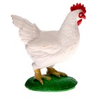 Обучающий набор «Этапы развития куриц» 4 фигурки - Фото 9