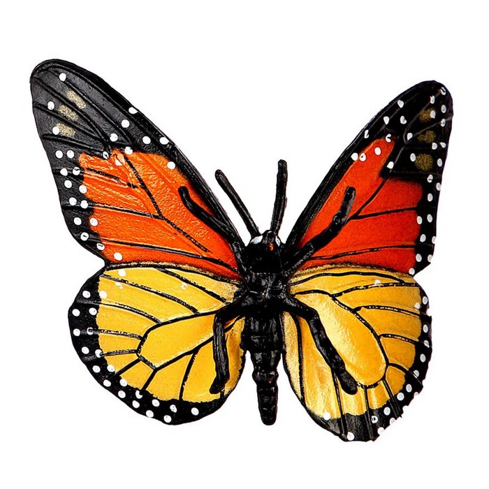 4 бабочки. бабочка на цветке. бабочки красивые цветные. бабочки цветные. много бабочек.