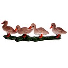 Обучающий набор «Этапы развития гуся» 4 фигурки 9327149