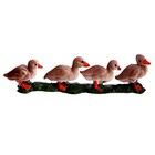 Обучающий набор «Этапы развития гуся» 4 фигурки 9327149