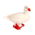 Обучающий набор «Этапы развития гуся» 4 фигурки 9327149