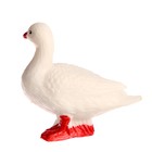 Обучающий набор «Этапы развития гуся» 4 фигурки 9327149