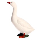 Обучающий набор «Этапы развития гуся» 4 фигурки 9327149