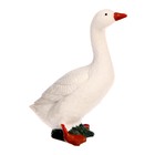 Обучающий набор «Этапы развития гуся» 4 фигурки 9327149