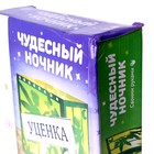 Набор для творчества «Чудесный ночник», фея, Уценка - Фото 2