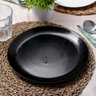 Тарелка обеденная DIANA, d=25 см, цвет чёрный 9462781