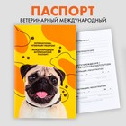 Ветеринарный паспорт международный «Мопс» - фото 299827420
