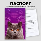 Ветеринарный паспорт международный универсальный для кошек - Фото 1